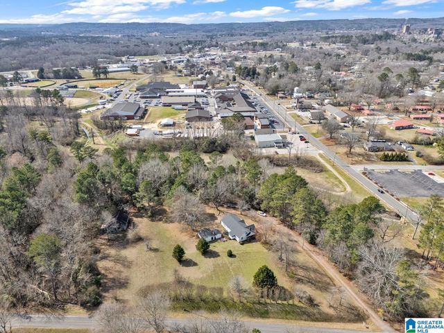 301 SE WILLIAMS AVENUE, Hanceville, AL 35077