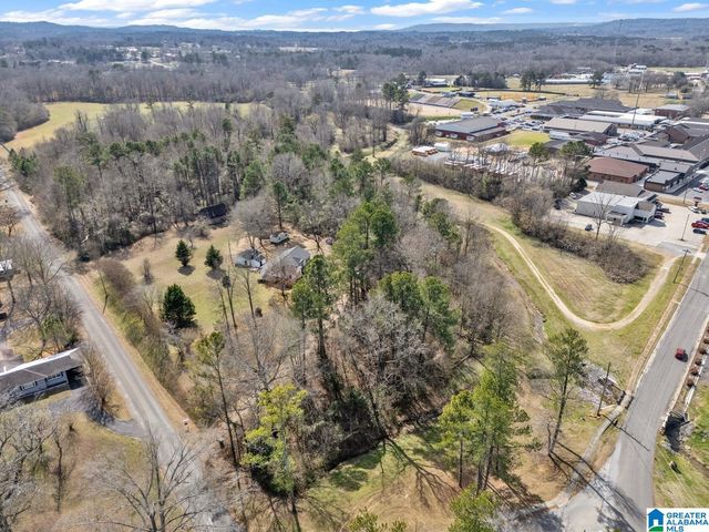 301 SE WILLIAMS AVENUE, Hanceville, AL 35077