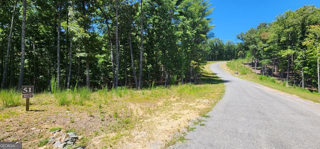51 Ridge Drive, Morganton, GA 30560