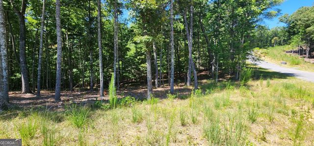 51 Ridge Drive, Morganton, GA 30560