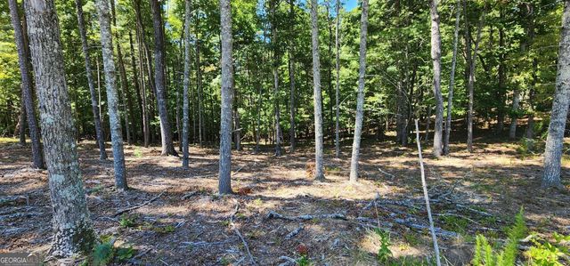 51 Ridge Drive, Morganton, GA 30560