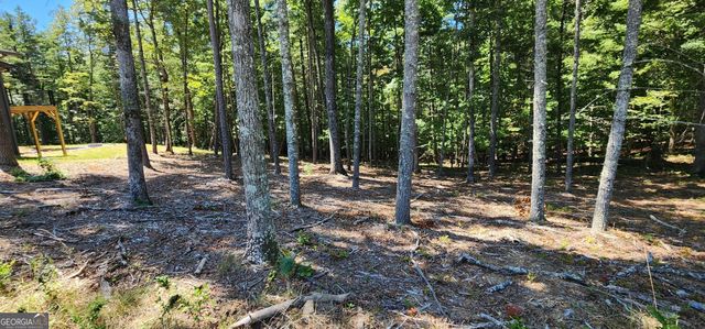 51 Ridge Drive, Morganton, GA 30560