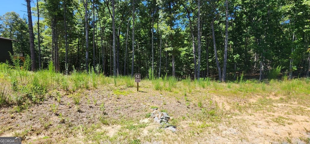 51 Ridge Drive, Morganton, GA 30560