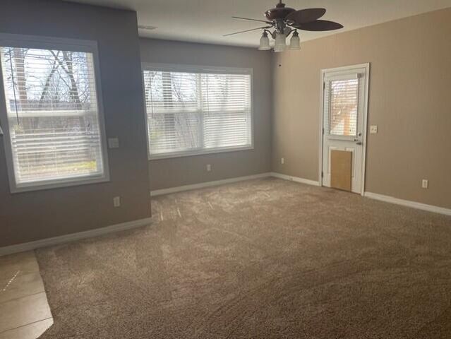 296 Lillian Lane, Kimberling City, MO 65686