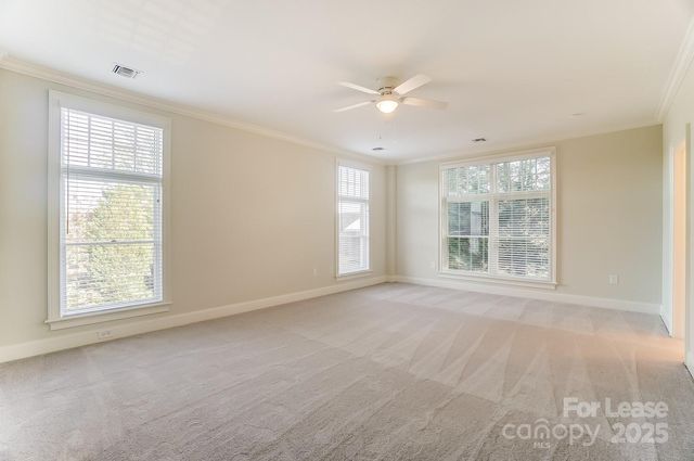 1301 Queens Road 505, Charlotte, NC 28207