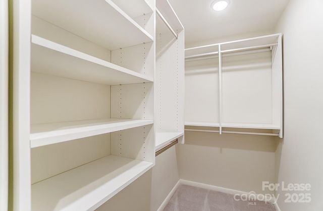 1301 Queens Road 505, Charlotte, NC 28207