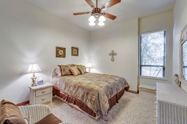 1133 Brackeen Drive, Graford, TX 76449