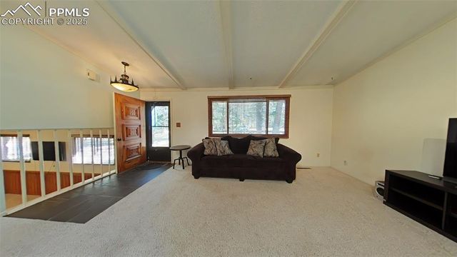 706 N Elm Street, Woodland Park, CO 80863