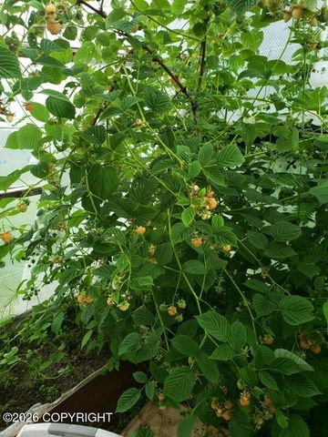 8016 W Mustafa Circle, Wasilla, AK 99654