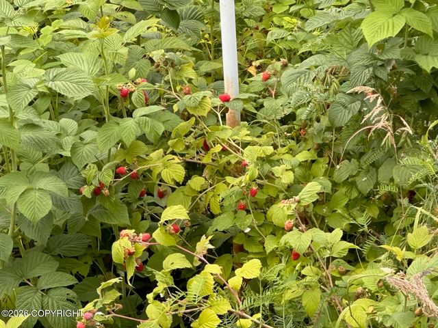 8016 W Mustafa Circle, Wasilla, AK 99654