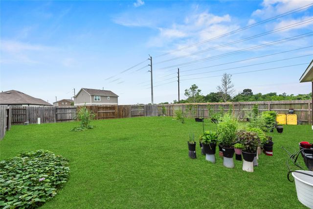 17702 Brahman Horn Court, Hockley, TX 77447