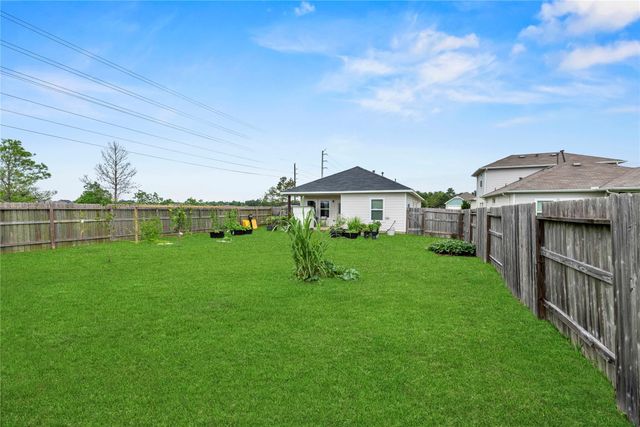 17702 Brahman Horn Court, Hockley, TX 77447