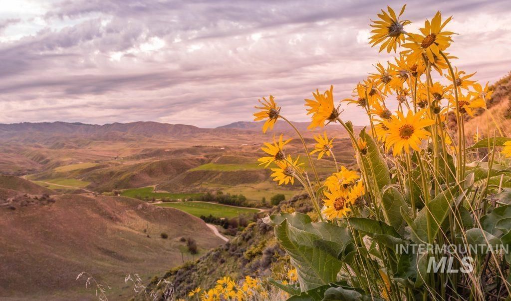 11071 N Elk Ridge Way, Boise, ID 83714 photo 37