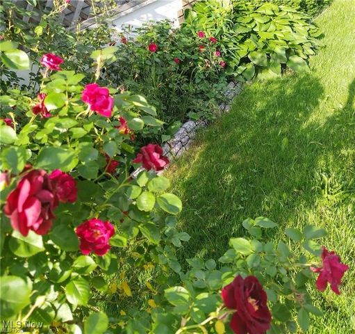 2117 Waterbury Road, Lakewood, OH 44107