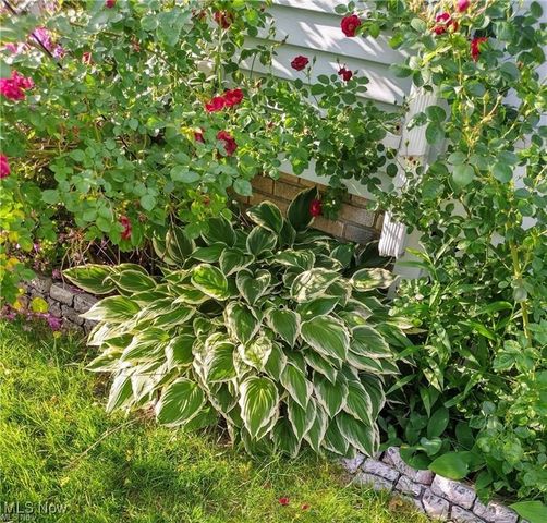 2117 Waterbury Road, Lakewood, OH 44107