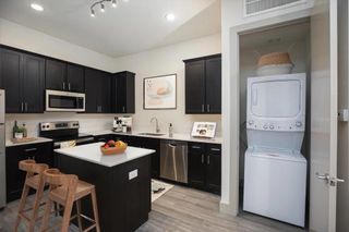 4509 Mount Vernon Street 2, Houston, TX 77006