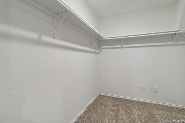 12506 Desert Fox, Converse, TX 78109