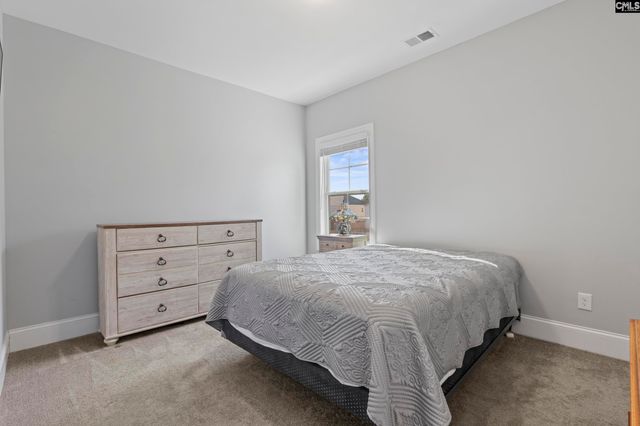 2051 Ludlow Place, Chapin, SC 29036