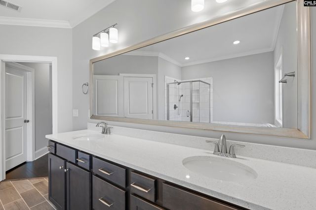 2051 Ludlow Place, Chapin, SC 29036