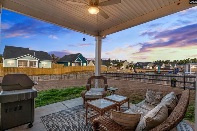 2051 Ludlow Place, Chapin, SC 29036