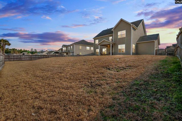 2051 Ludlow Place, Chapin, SC 29036