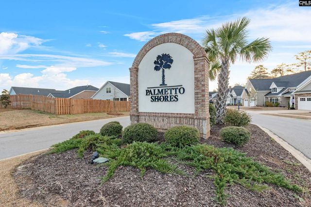 2051 Ludlow Place, Chapin, SC 29036