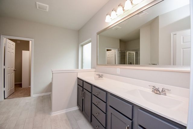 23602 Acerola Tree Court, Katy, TX 77493