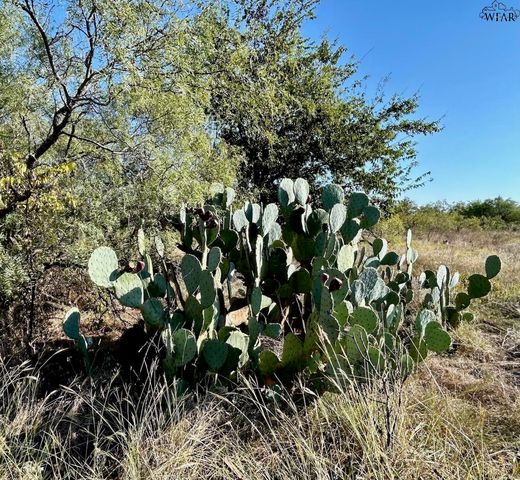 156 COMANCHE TRAIL, Henrietta, TX 76367