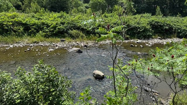 6 Crescent Street, Randolph, VT 05060