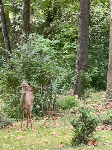 8650 Fall Creek Road, Indianapolis, IN 46256