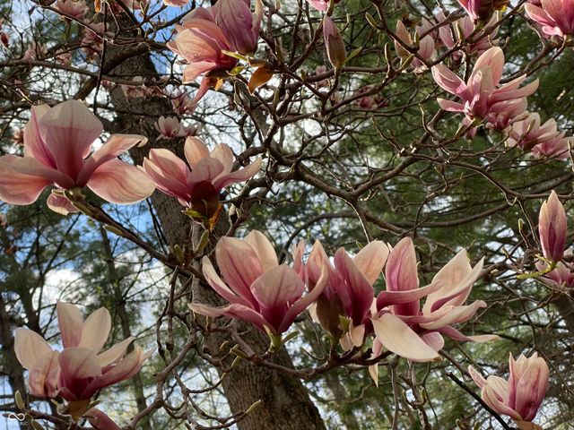 8650 Fall Creek Road, Indianapolis, IN 46256