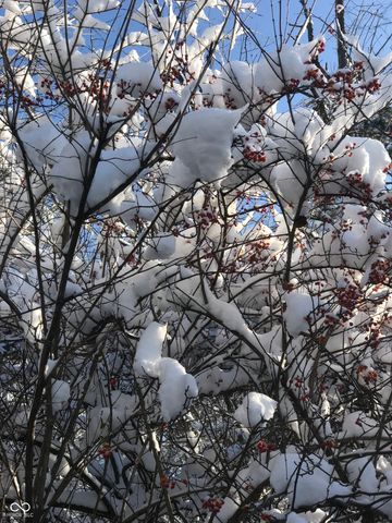 8650 Fall Creek Road, Indianapolis, IN 46256