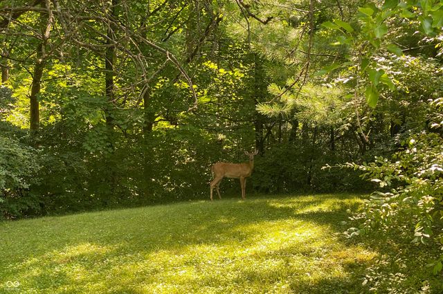 8650 Fall Creek Road, Indianapolis, IN 46256