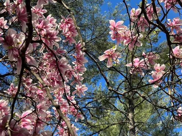 8650 Fall Creek Road, Indianapolis, IN 46256