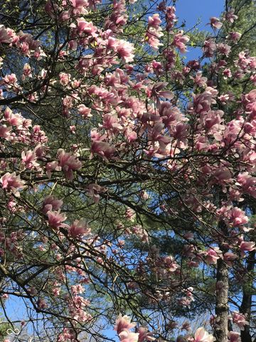 8650 Fall Creek Road, Indianapolis, IN 46256