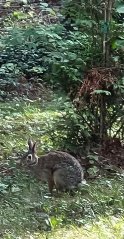 8650 Fall Creek Road, Indianapolis, IN 46256