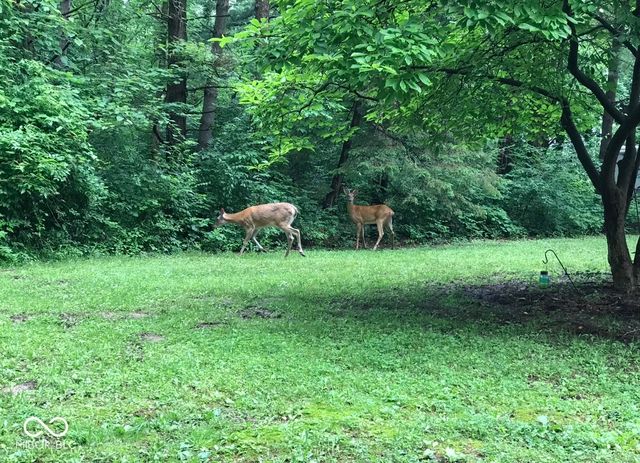 8650 Fall Creek Road, Indianapolis, IN 46256