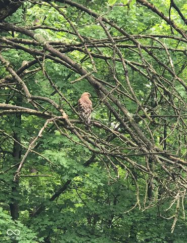 8650 Fall Creek Road, Indianapolis, IN 46256