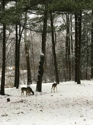 8650 Fall Creek Road, Indianapolis, IN 46256