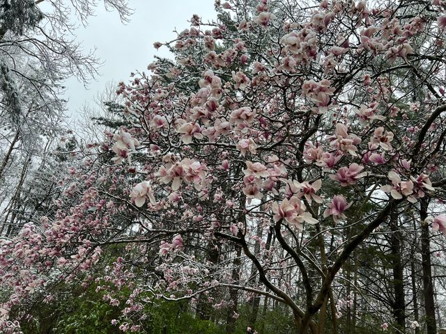 8650 Fall Creek Road, Indianapolis, IN 46256