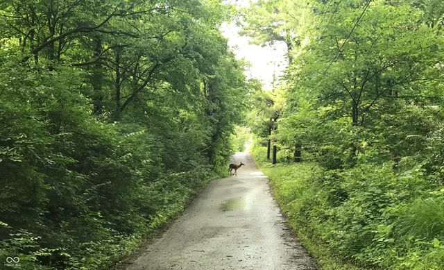 8650 Fall Creek Road, Indianapolis, IN 46256