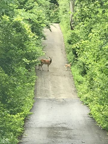 8650 Fall Creek Road, Indianapolis, IN 46256