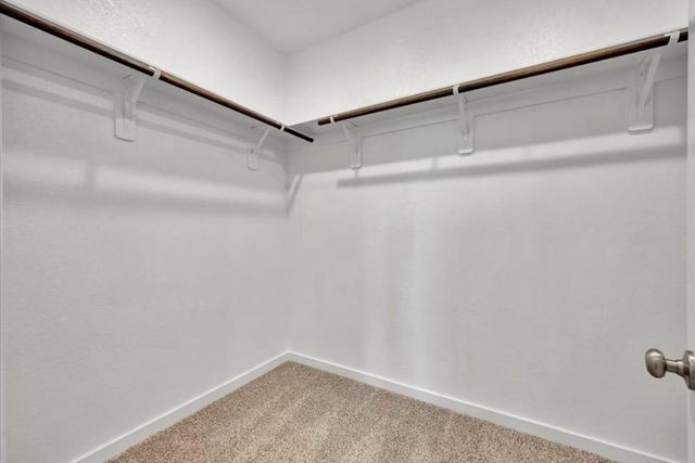 9537 Sugar Berry Dr, Conroe, TX 77385