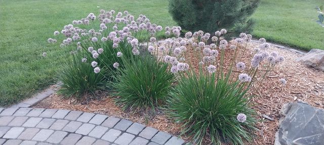 6075 Granite Drive NW, Rochester, MN 55901