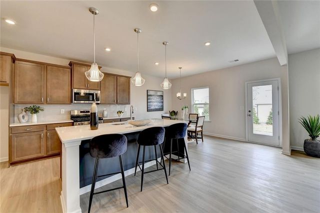 243 Province Park Drive, Holly Springs, GA 30115