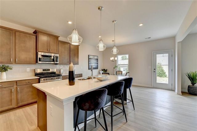 243 Province Park Drive, Holly Springs, GA 30115