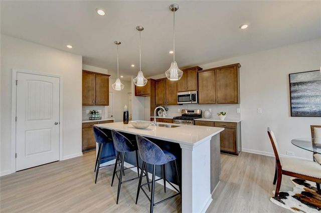 243 Province Park Drive, Holly Springs, GA 30115