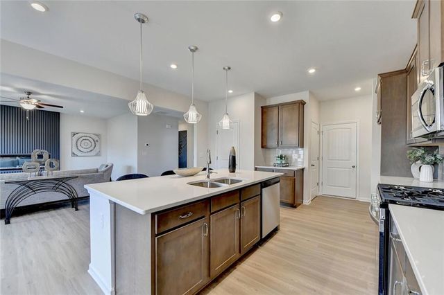 243 Province Park Drive, Holly Springs, GA 30115
