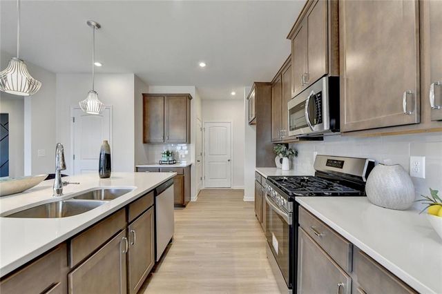 243 Province Park Drive, Holly Springs, GA 30115