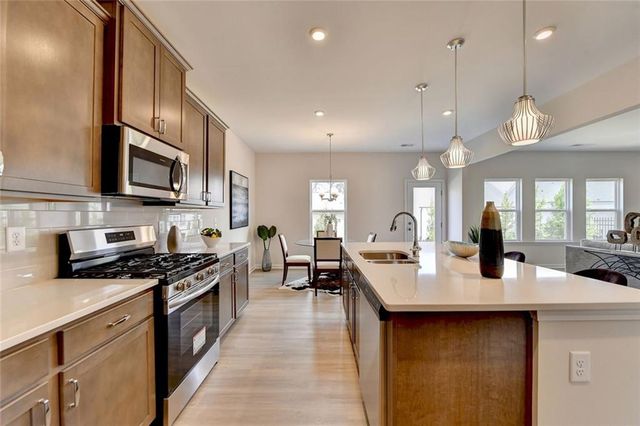 243 Province Park Drive, Holly Springs, GA 30115